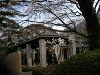 箱根で有名な公園です