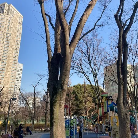 【ユーザ投稿】 1/23から2/9まで、"クジラさ...