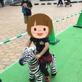 JRA新潟競馬場