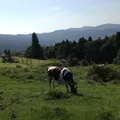 黒沢牧場 黒沢ハイランド