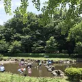 藤沢市少年の森