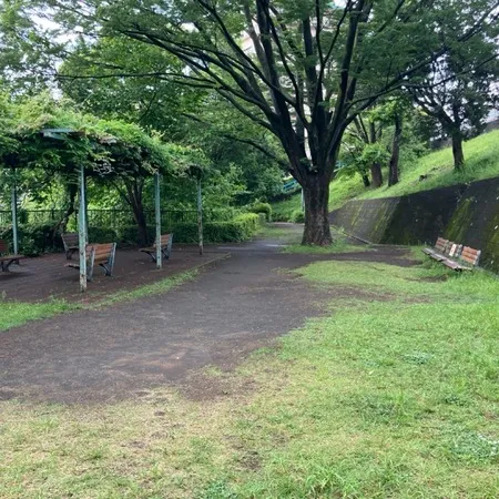 広場で枝を集めて遊んでいました。