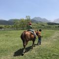壮大な景色の中で乗馬体験