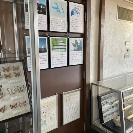 霞ヶ浦総合公園の、道路を挟んで霞ヶ...