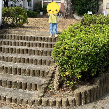 小さい公園ですが、道路から離れたと...
