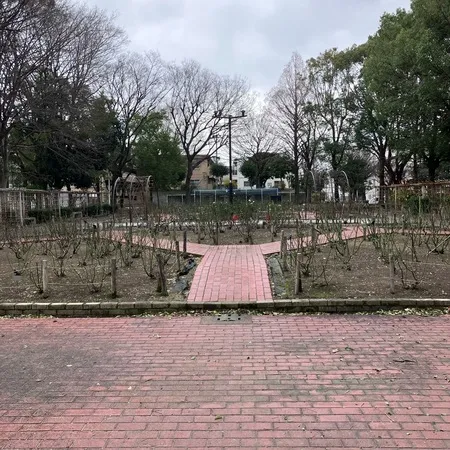 アスレチックが複数ありました。