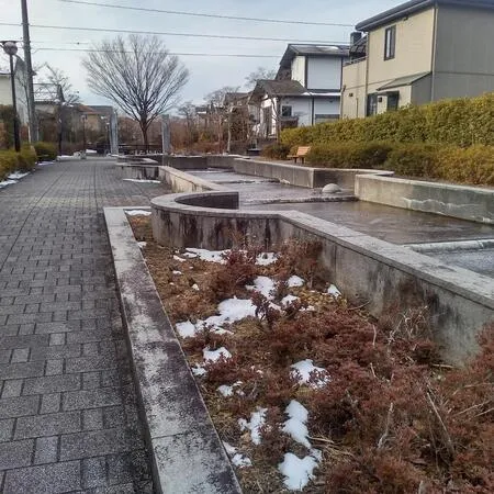 冬の時期だったため、水のせせらぎは...