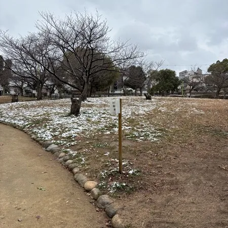 雪降ってたので行ってみました！