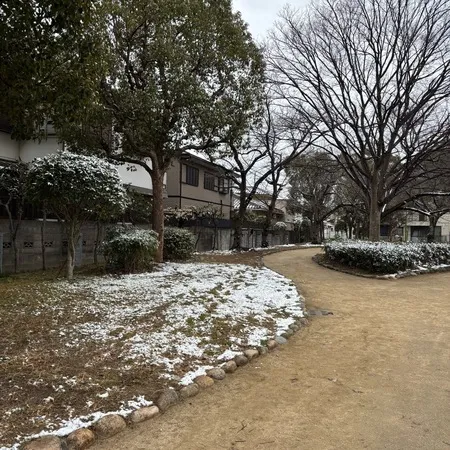 雪降ってたので行ってみました！