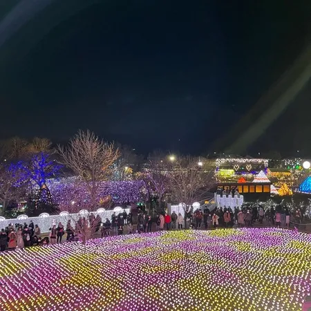 あしかがフラワーパークは、春の藤や...