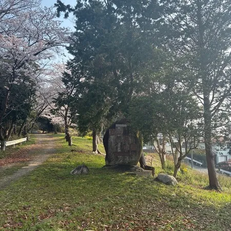 春は桜が綺麗な公園です。池を囲んで...