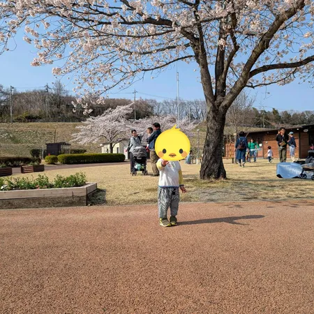 貸出の三輪車や自転車、ボール等遊具...