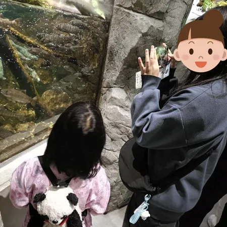 シーワールドになってから初めて来ました。