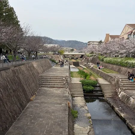 川遊びに最適です！訪問してた日は桜...