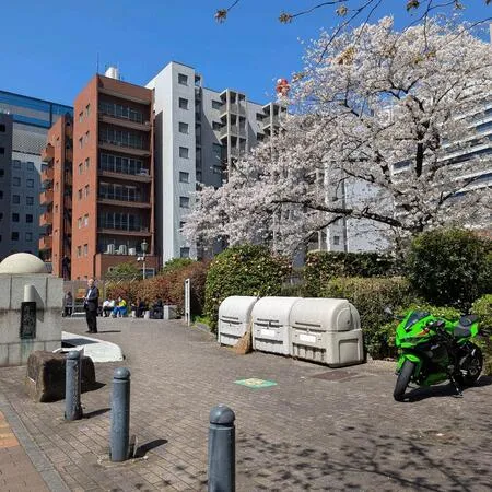 【ユーザ投稿】 桜が咲いていて綺麗でした。メインは...