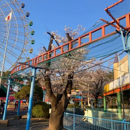 【YOASOBI… 遊園地🎡】
