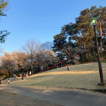 【ブランコの後ろに、屋台という斬新な…】