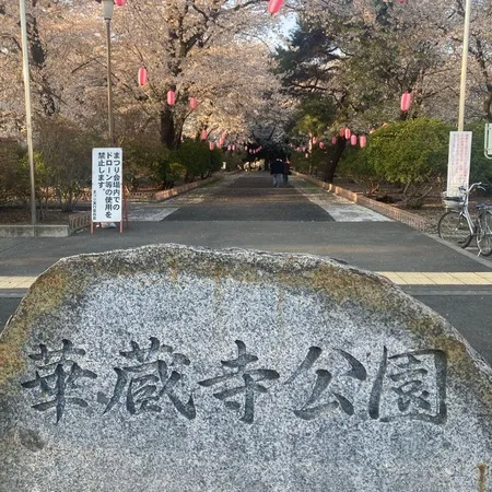 【ブランコの後ろに、屋台という斬新な…】