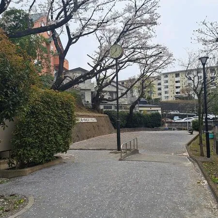 春には上の階に桜があります。下には...