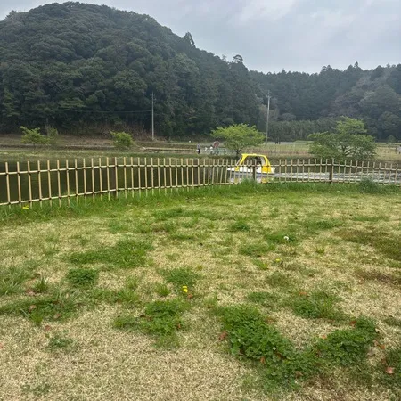 小さい子が楽しめる遊具や長い滑り台...