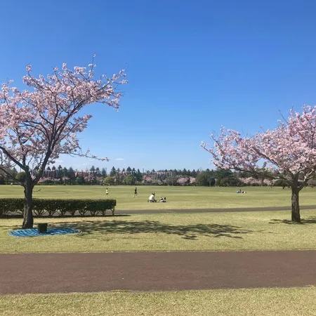 【サクラ🌸と、🎏鯉のぼり… さらに！】
