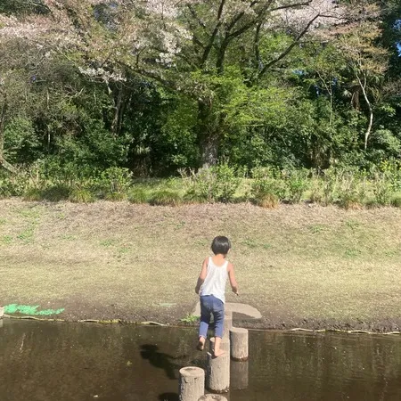 【サクラ🌸と、🎏鯉のぼり… さらに！】