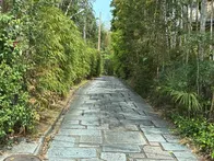 花供養のイベントに興味がありどんな...