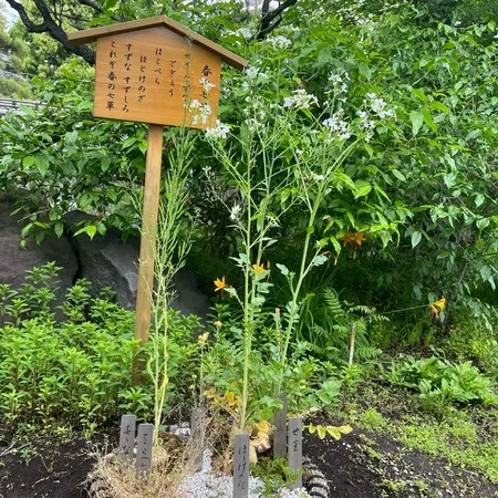 入場料が大人150円かかりますが、...