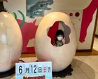 動く恐竜にびびってましたがなれると...