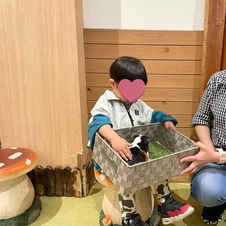 🔶料金