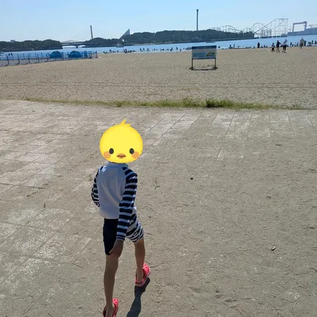 アマモ保全ボランティアと潮干狩りで...