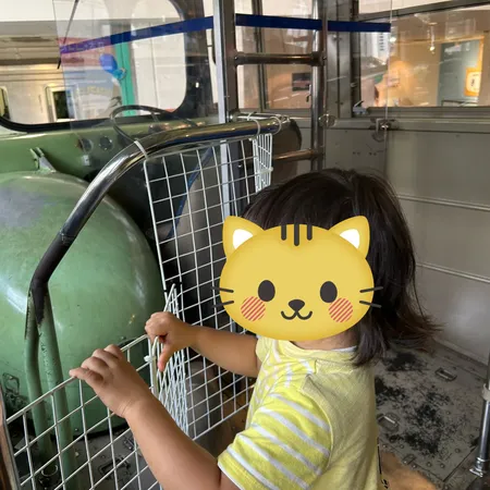 入場料が安く、シュミレーターや運転...