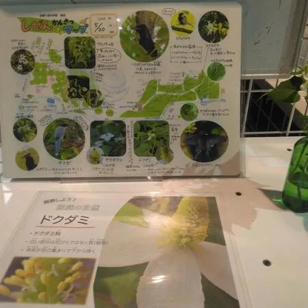 大人の講座に私のみ参加。事前に入場...