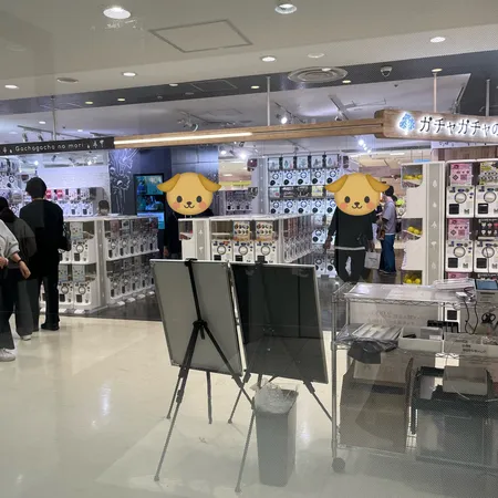 ガチャの数がとても多くて、しょっち...