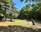 武蔵小山エリアではかなり大きな公園...