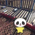 霞 ゆめくじら