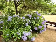 自然教育園や庭園美術館に隣接する白...