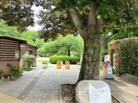 自然教育園や庭園美術館に隣接する白...