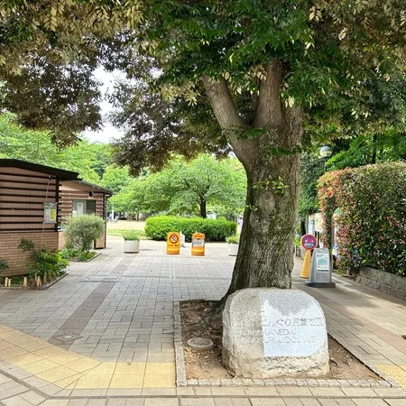 自然教育園や庭園美術館に隣接する白...