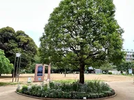 自然教育園や庭園美術館に隣接する白...