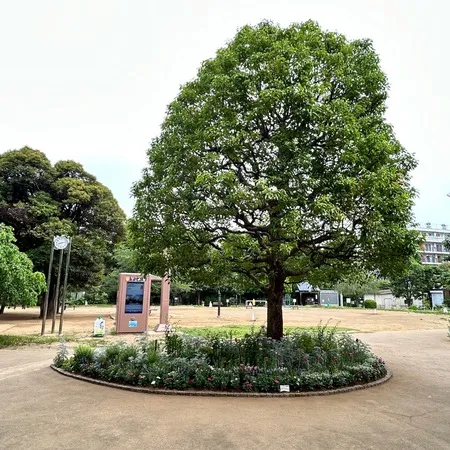 自然教育園や庭園美術館に隣接する白...