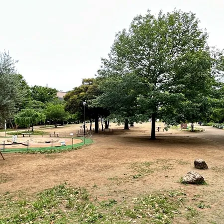 自然教育園や庭園美術館に隣接する白...