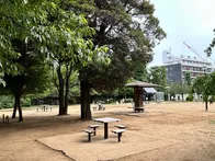 自然教育園や庭園美術館に隣接する白...