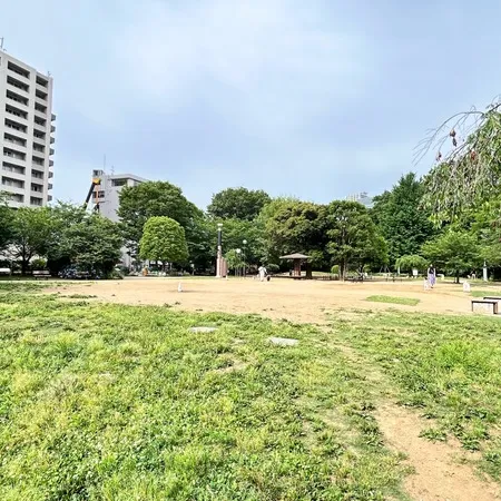自然教育園や庭園美術館に隣接する白...
