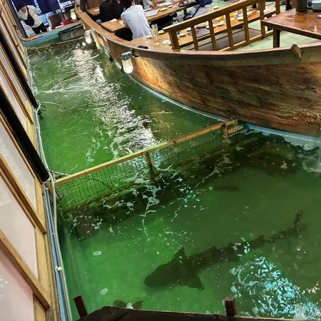 釣ったお魚を調理して持ってきてくれ...