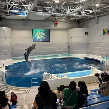 【ユーザ投稿】 地元の大好きな水族館🐠子どもが0〜...