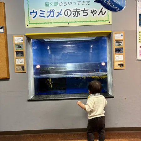 【ユーザ投稿】 地元の大好きな水族館🐠子どもが0〜...