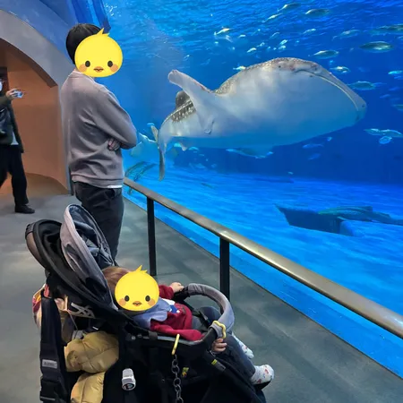【ユーザ投稿】 地元の大好きな水族館🐠子どもが0〜...