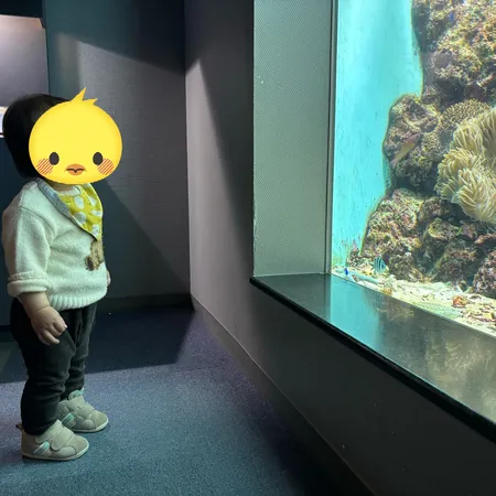 【ユーザ投稿】 地元の大好きな水族館🐠子どもが0〜...
