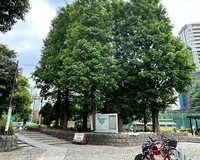 【ユーザ投稿】 目黒川沿いに広がる、目黒区民センタ...